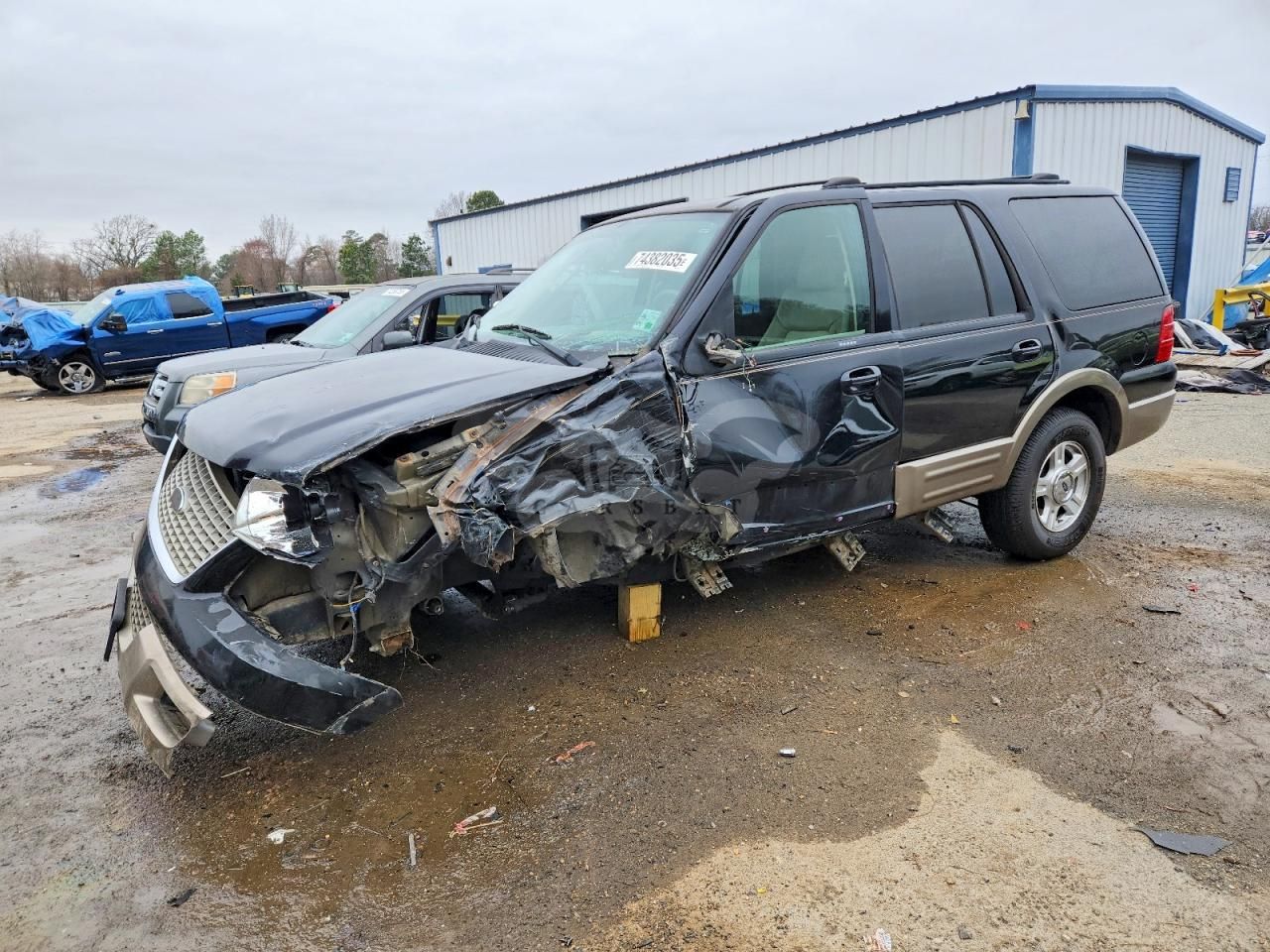 Ford Expedition EDDIE BAUER 4.6L 8 2004