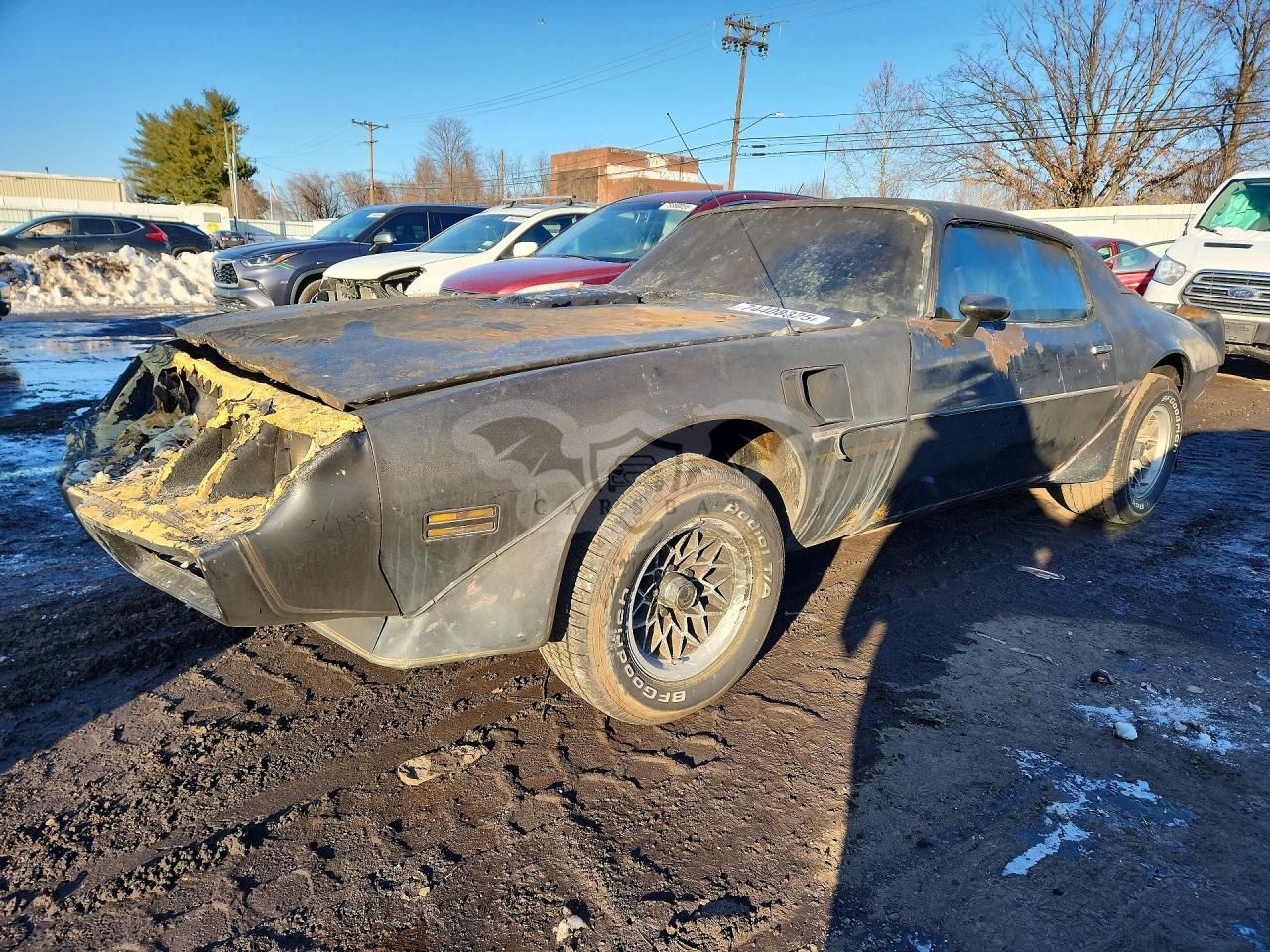 Pontiac Firebird TRANS AM 5.0L 8 1981