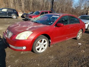 Nissan Maxima SE 3.5L 6 2006