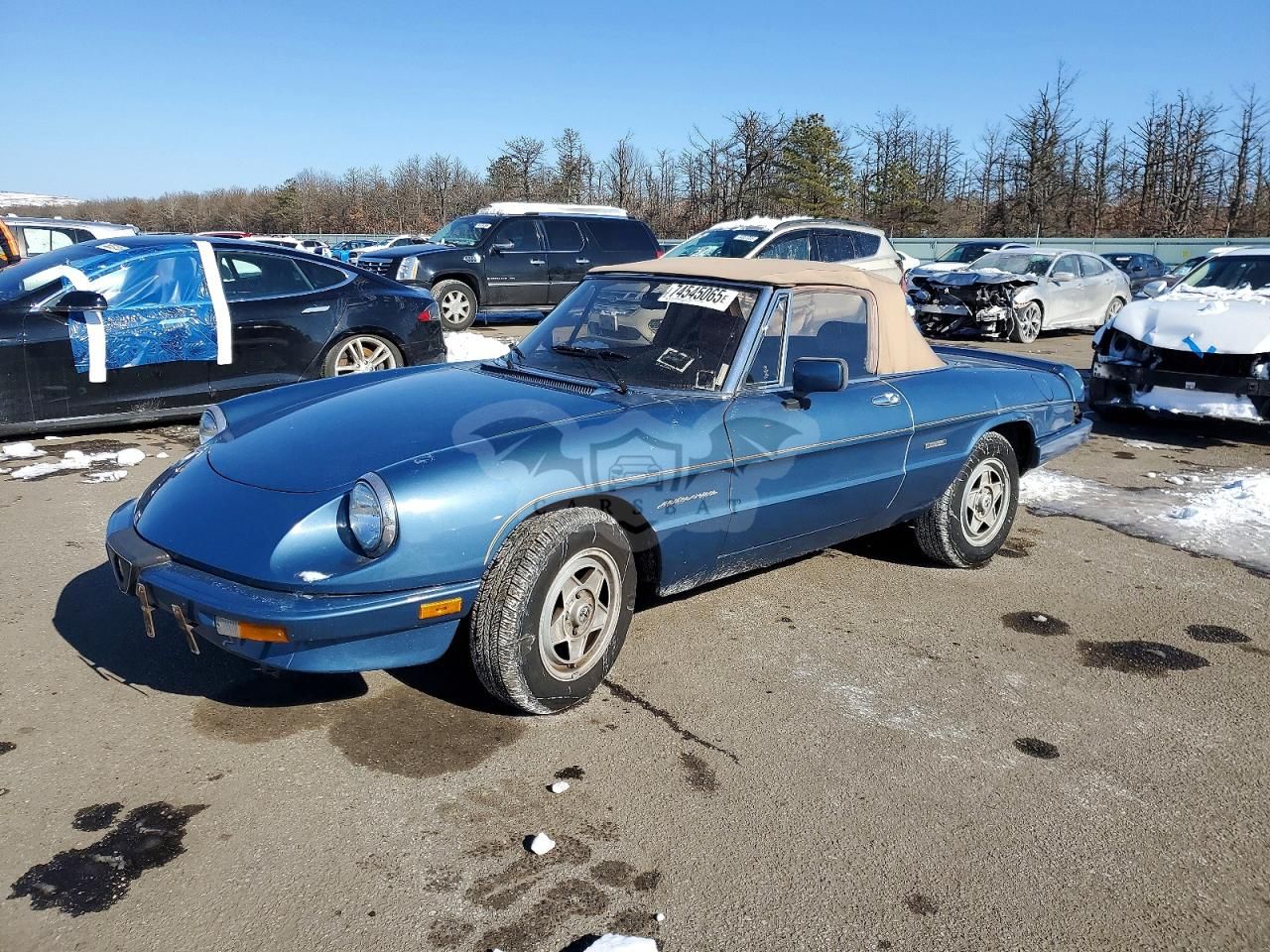 Alfa Romeo Spider 2000 SPIDER 2.0L 4 1986