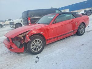 Ford Mustang 4.0L 6 2005