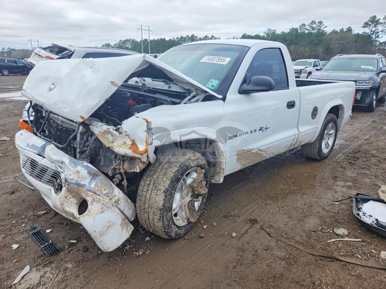 Dodge Dakota 5.9L 8 2000