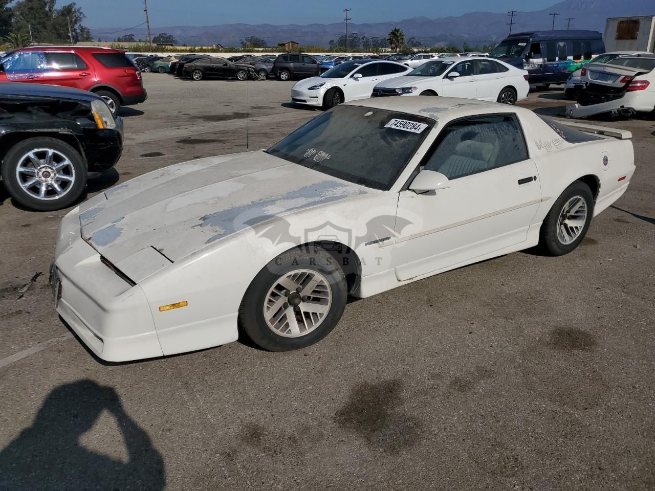 Pontiac Firebird 2.8L 6 1989