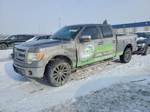 Ford F-150 SUPERCREW 5.0L 8 2014