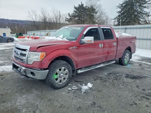 Ford F-150 5.0L 8 2014