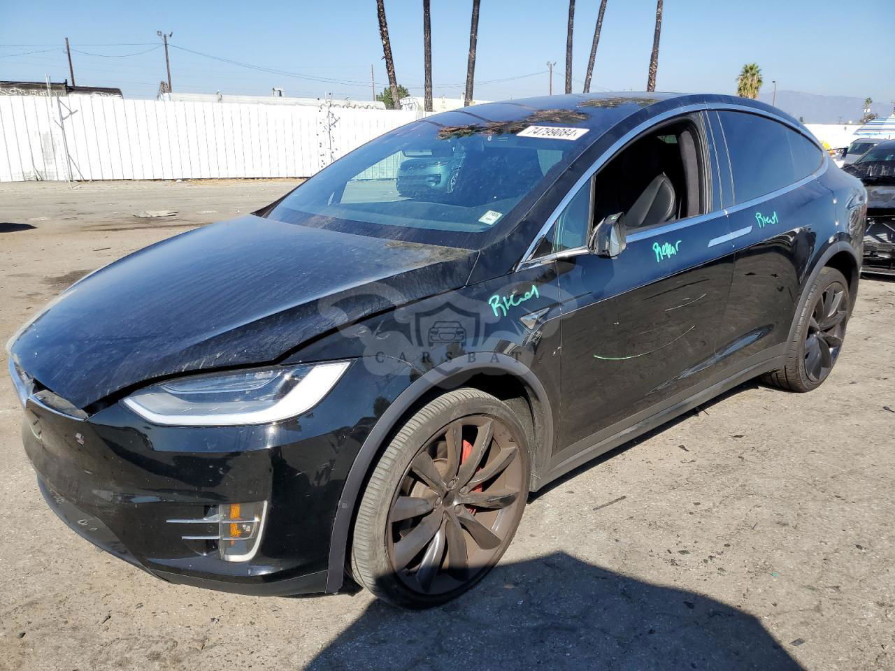 Tesla Model Y 2019