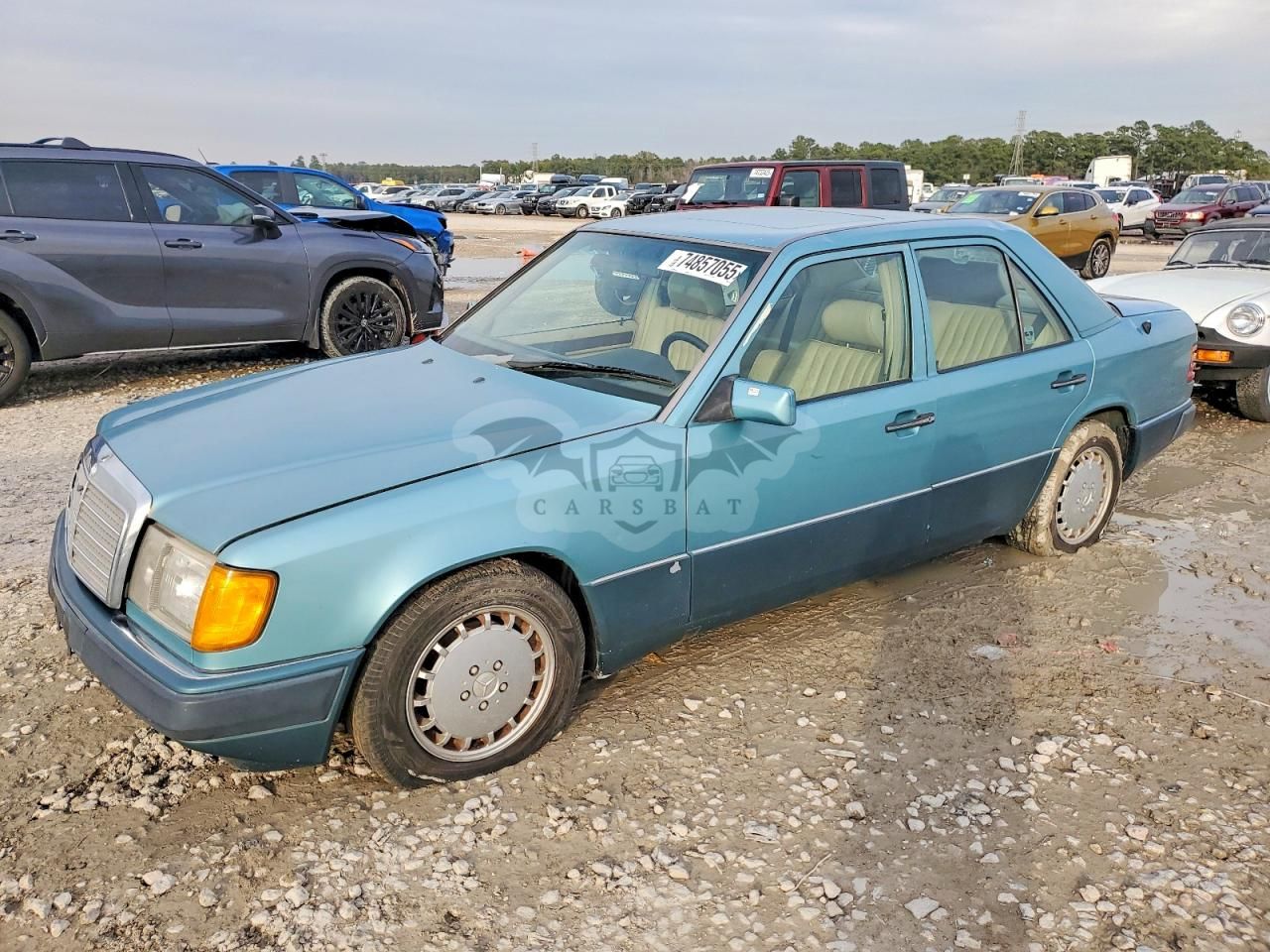 Mercedes-Benz 300 D 2.5L 5 1991