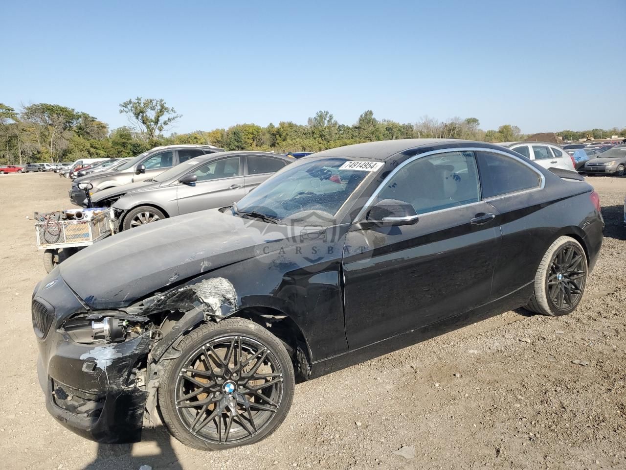 BMW 2 Series 2.0L 4 2016