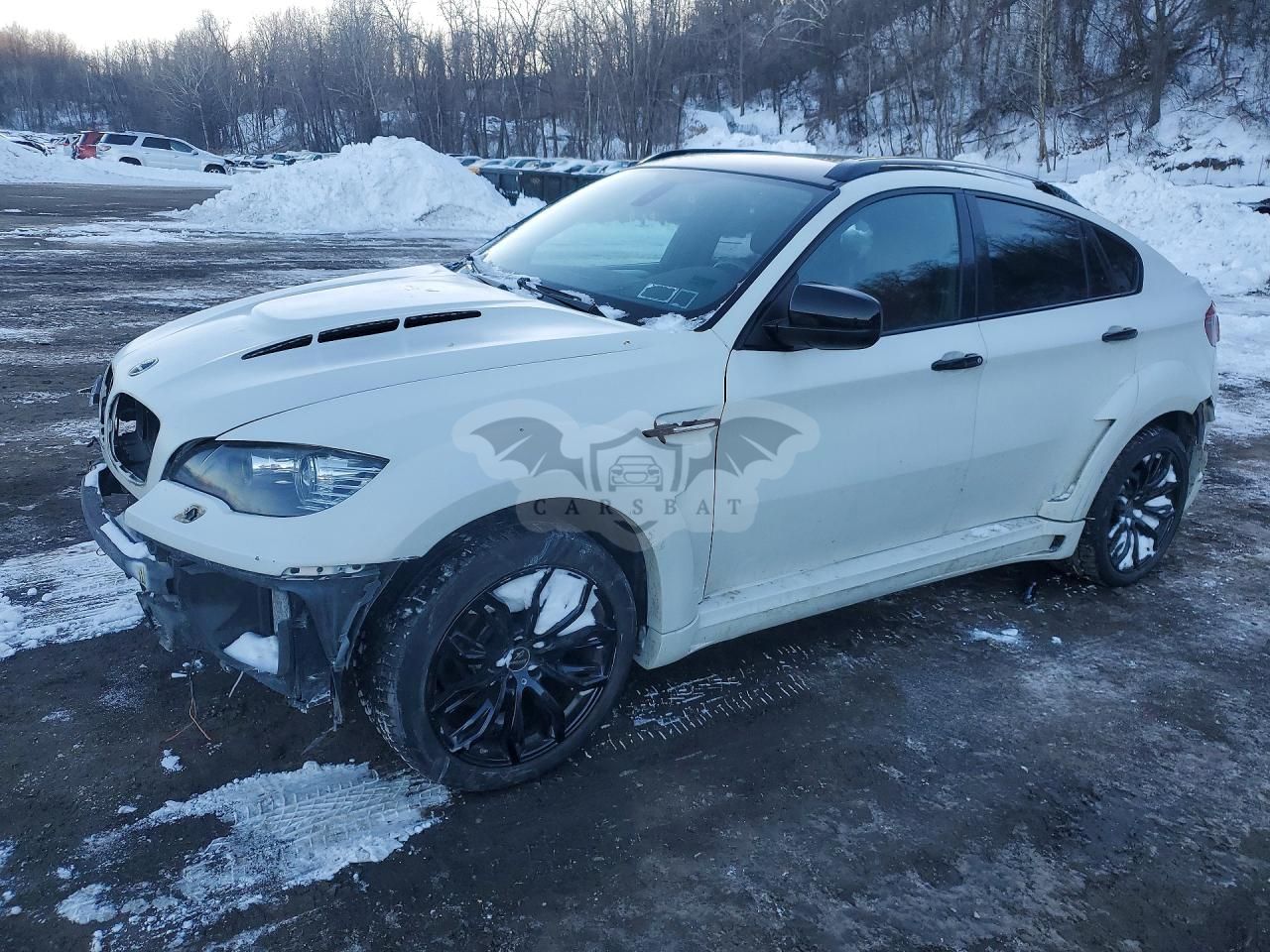 BMW X6 4.4L 8 2009