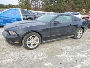 Ford Mustang 4.0L 6 2010