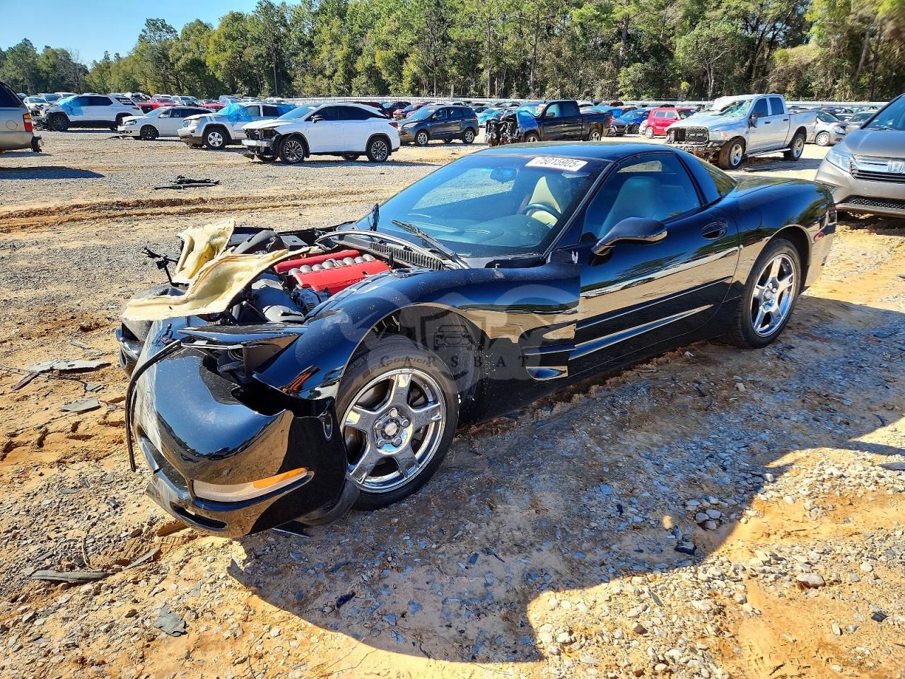 Chevrolet Corvette 5.7L 8 1999