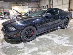 Ford Mustang 3.7L 6 2013