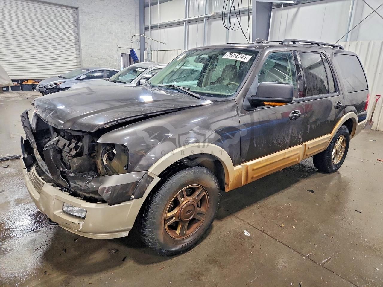 Ford Expedition EDDIE BAUER 5.4L 8 2005