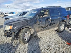 Ford Escape XLT 3.0L 6 2010