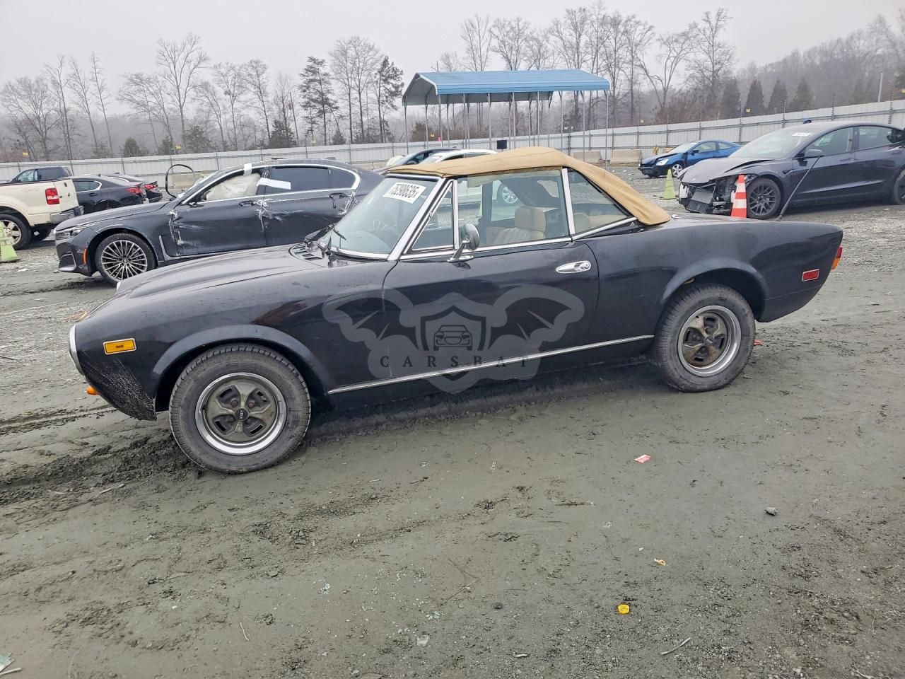 Fiat Spider Europa 1979