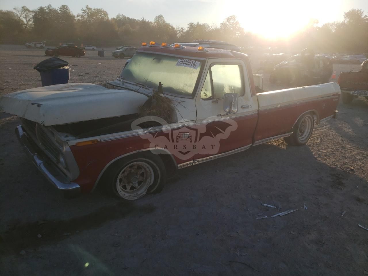 Ford F-100 1974