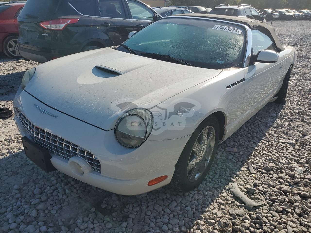 Ford Thunderbird 3.9L 8 2002