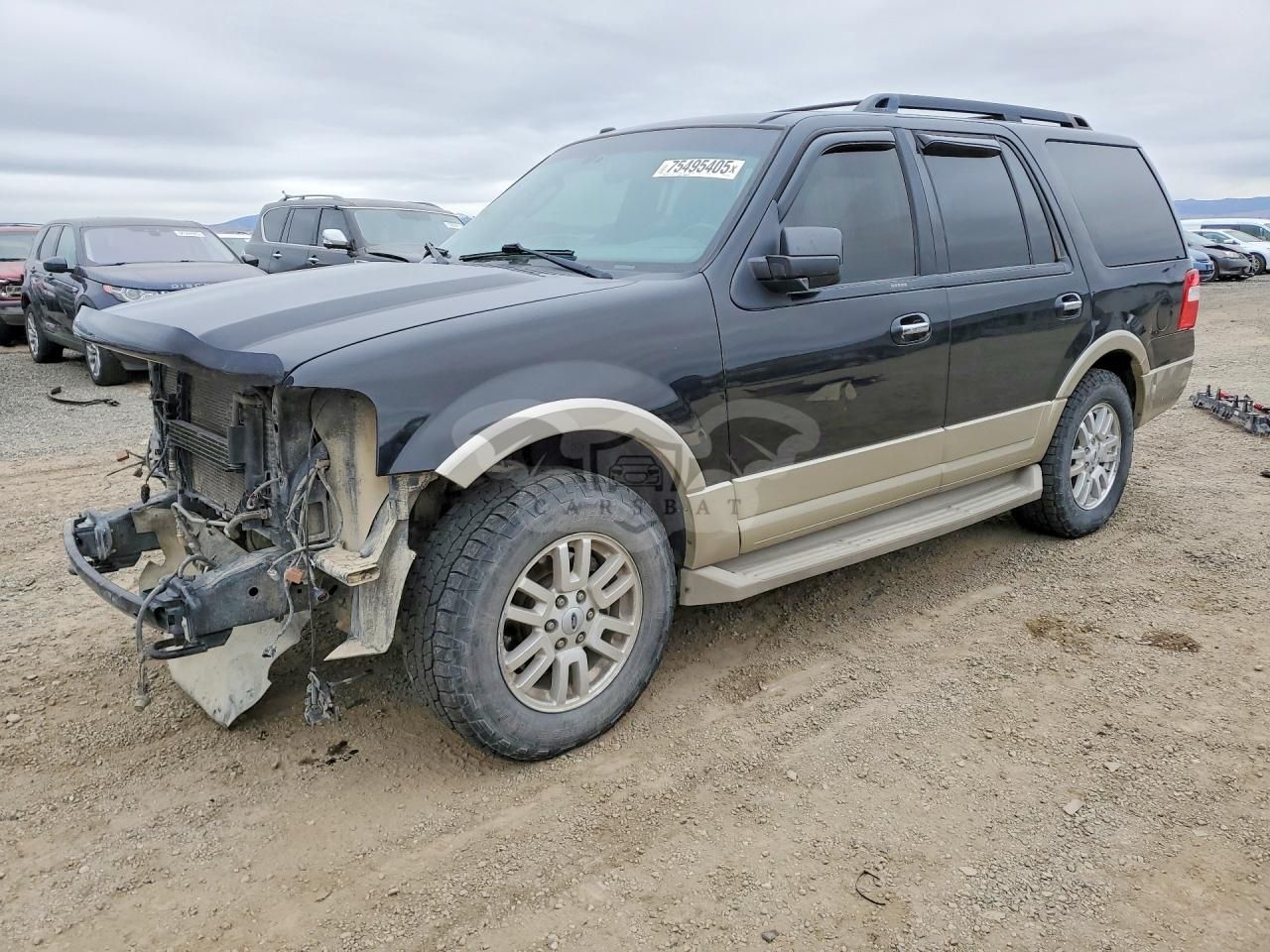 Ford Expedition EDDIE BAUER 5.4L 8 2010