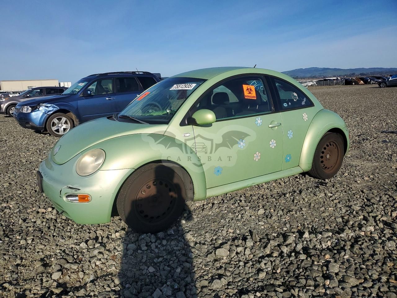 Volkswagen Beetle 2.0L 4 2002