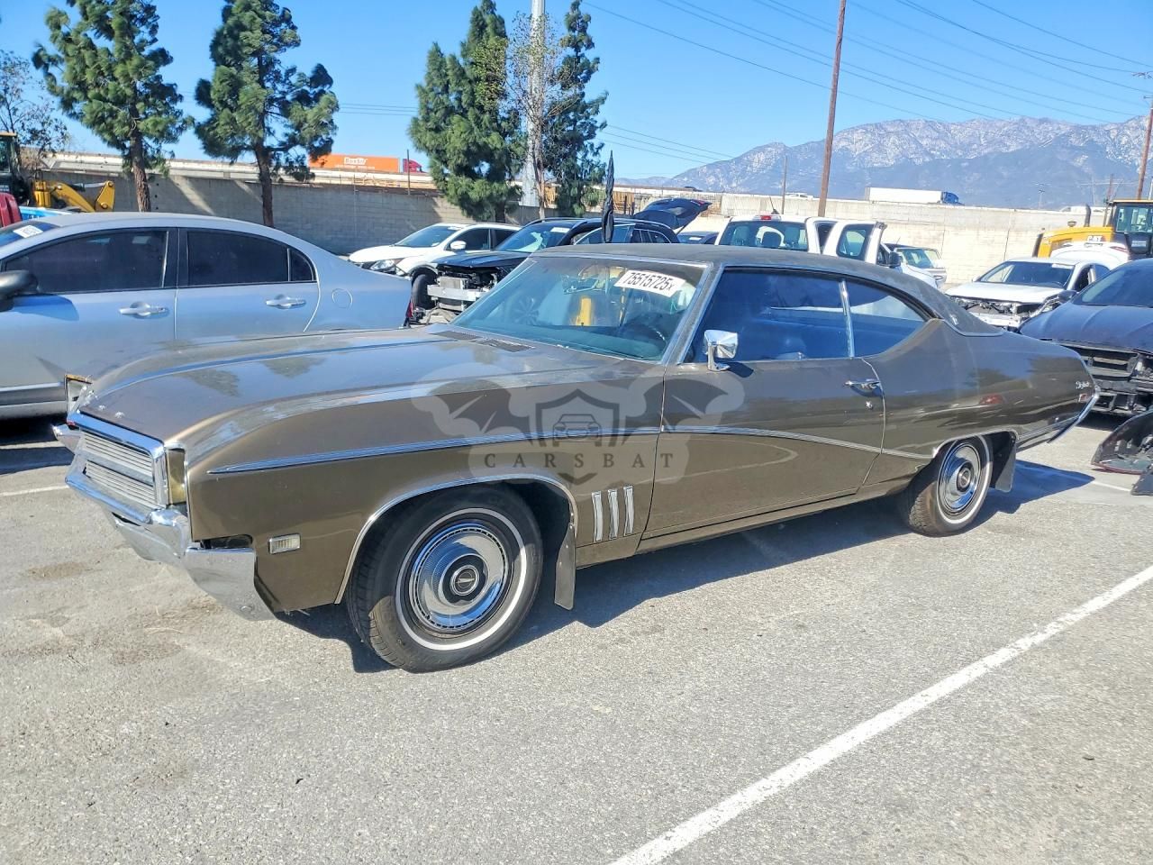 Buick Skylark 1969