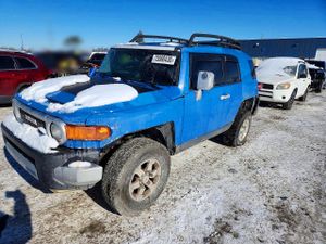 Toyota FJ Cruiser 4.0L 6 2007