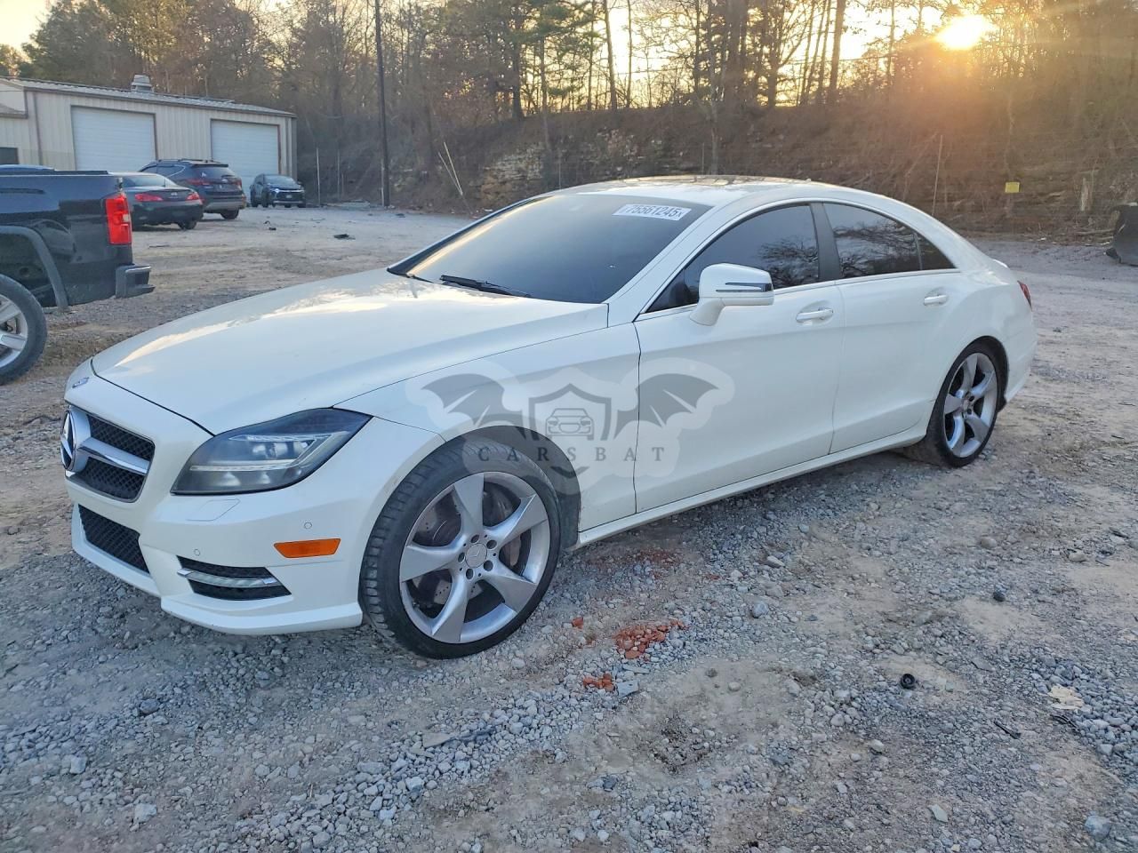 Mercedes-Benz CLS 550 4.6L 8 2014