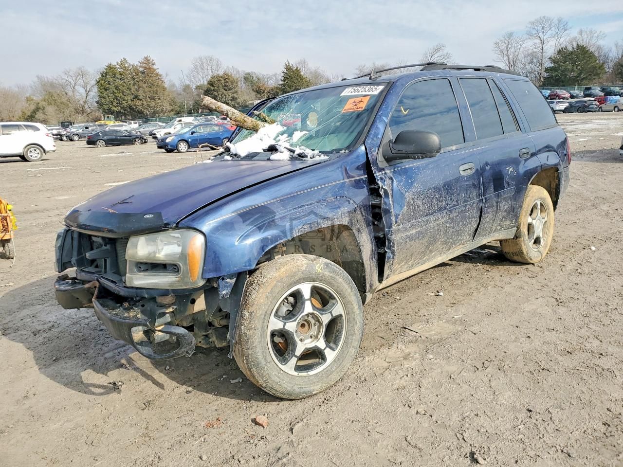Chevrolet Trailblazer 4.2L 6 2007