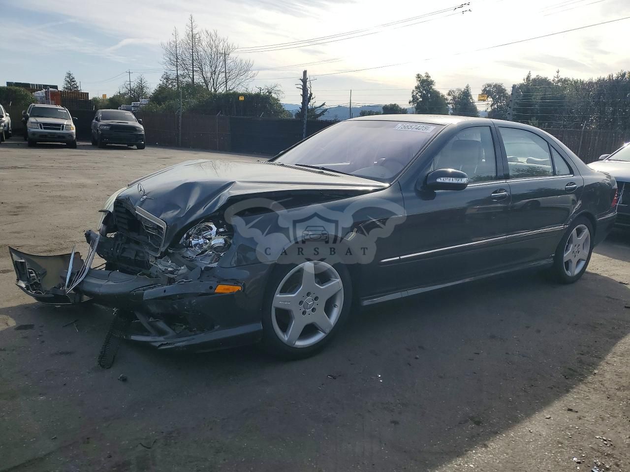 Mercedes-Benz S 500 5.0L 8 2003