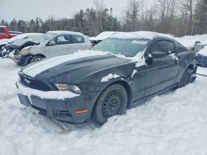 Ford Mustang 4.0L 6 2010