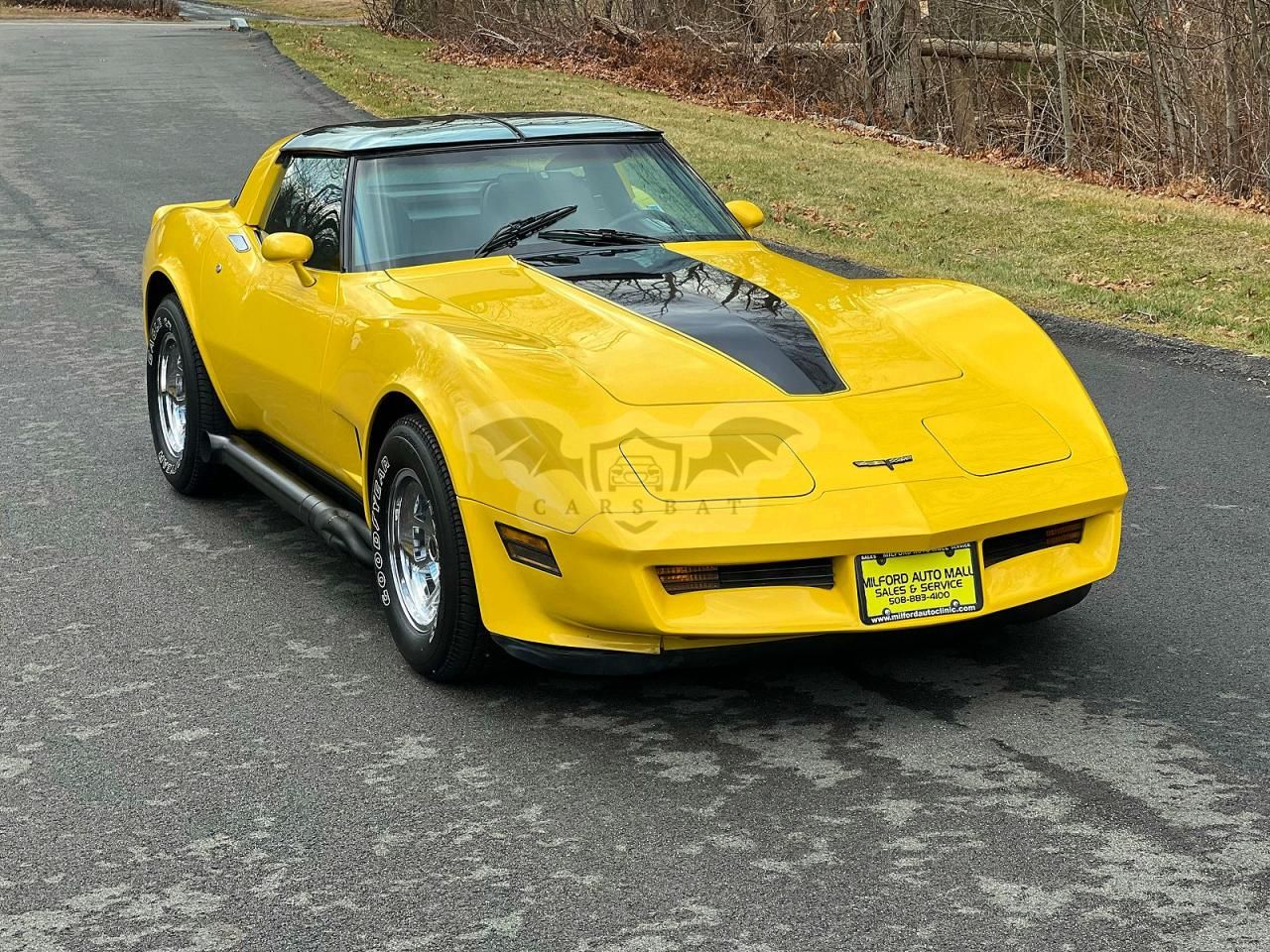 Chevrolet Corvette 5.7L 8 1981