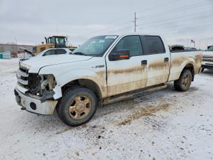 Ford F-150 SUPERCREW 5.0L 8 2013