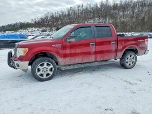 Ford F-150 SUPERCREW 5.0L 8 2013