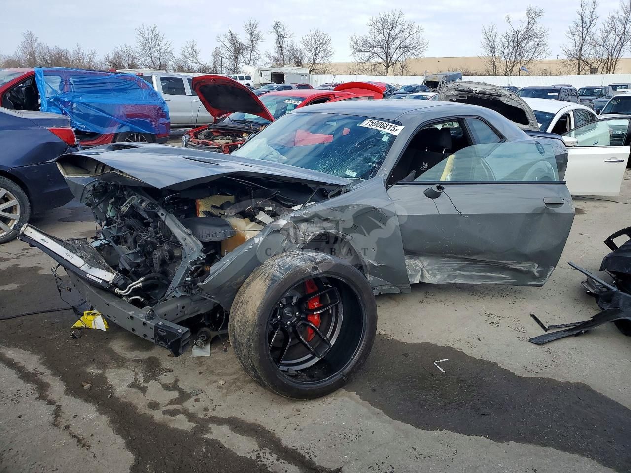 Dodge Challenger R/T SCAT PACK 6.4L 8 2019