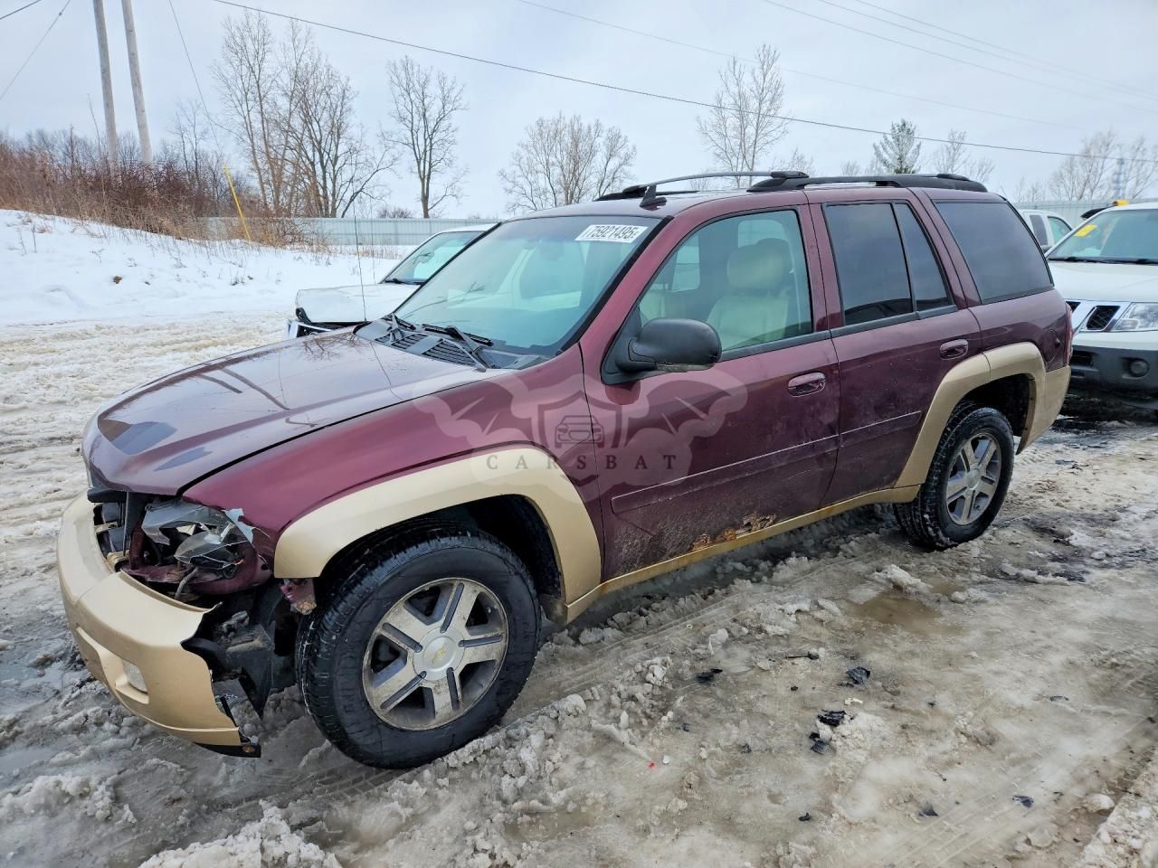 Chevrolet Trailblazer LS 4.2L 6 2007