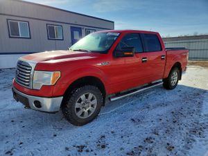 Ford F-150 5.0L 8 2011