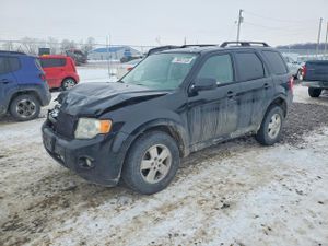 Ford Escape XLT 2.5L 4 2010