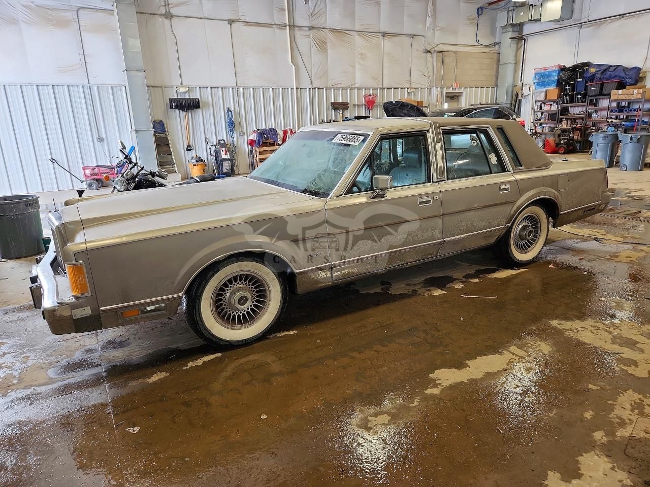 Lincoln Town Car CARTIER 5.0L 8 1989