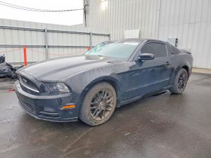 Ford Mustang 3.7L 6 2014