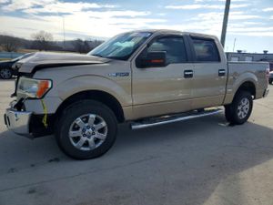 Ford F-150 SUPERCREW 5.0L 8 2014