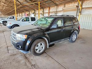 Ford Escape XLT 2.5L 4 2010