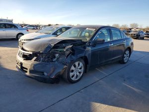Honda Accord EXL 3.5L 6 2010