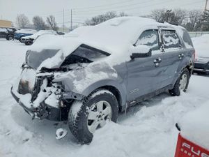 Ford Escape XLT 2.3L 4 2008