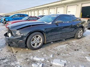 Ford Mustang 3.7L 6 2014