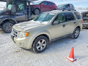 Ford Escape XLT 2.5L 4 2010