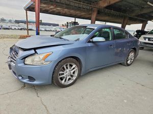 Nissan Maxima 3.5L 6 2010