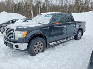 Ford F-150 SUPERCREW 4.6L 8 2010