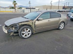 Nissan Maxima SE 3.5L 6 2006
