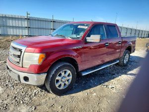 Ford F-150 SUPERCREW 5.0L 8 2013