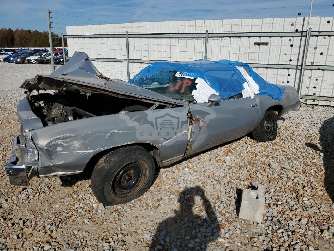 Chevrolet Monte Carlo 1976