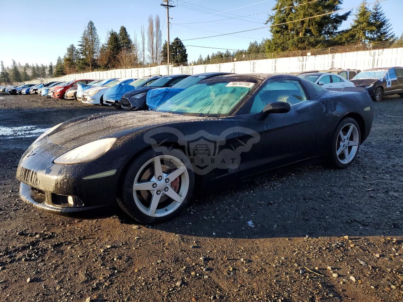 Chevrolet Corvette 6.0L 8 2005
